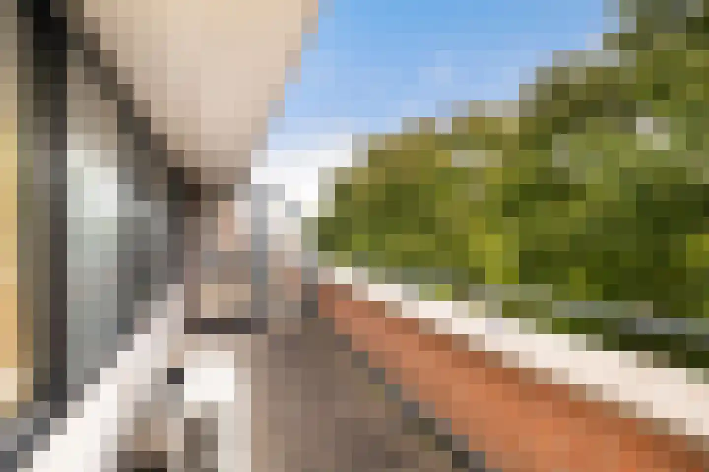 Vijverwater 7 Houten thumbnail 69