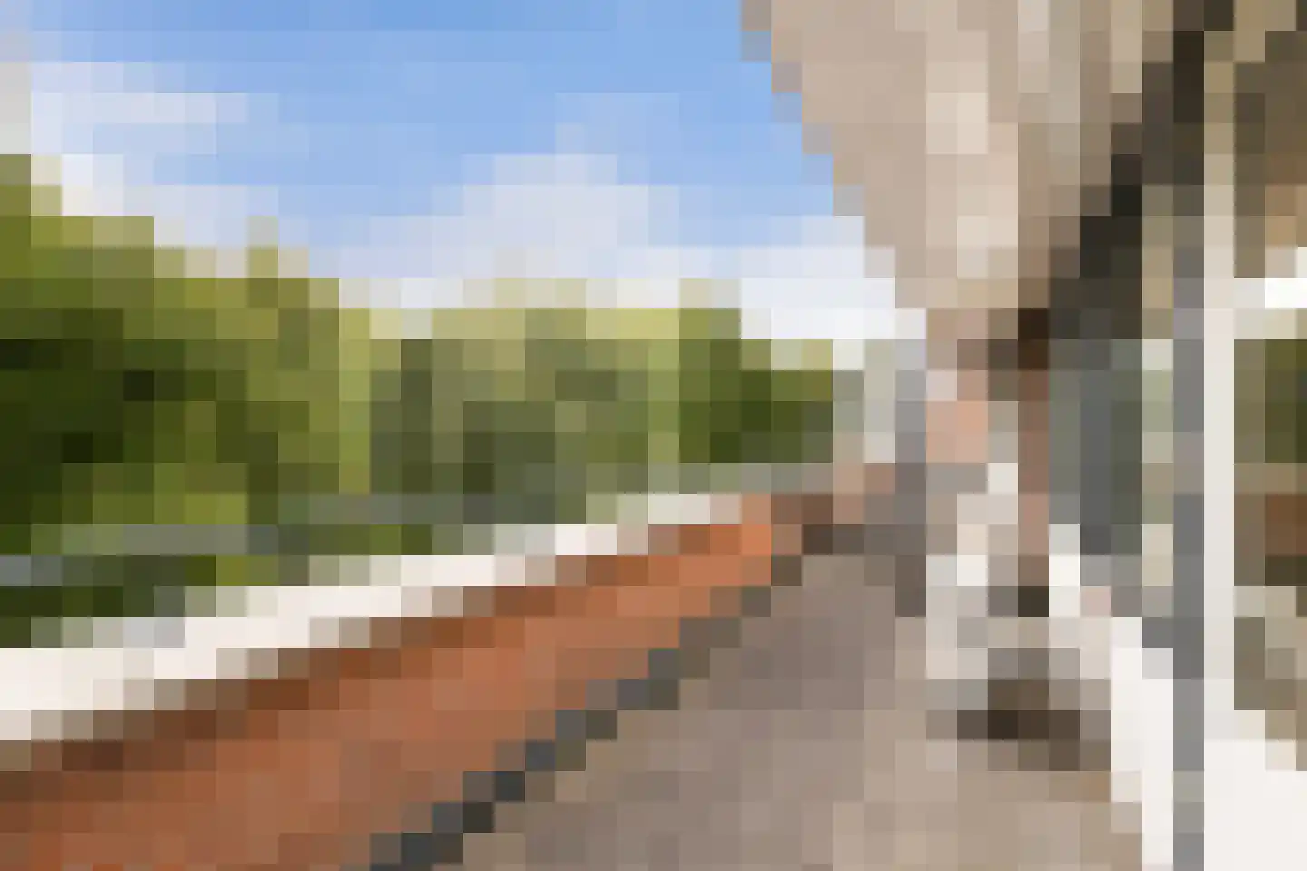 Vijverwater 7 Houten thumbnail 70