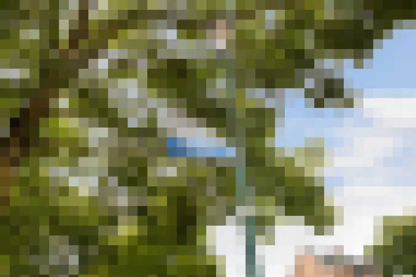 Vijverwater 7 Houten thumbnail 71