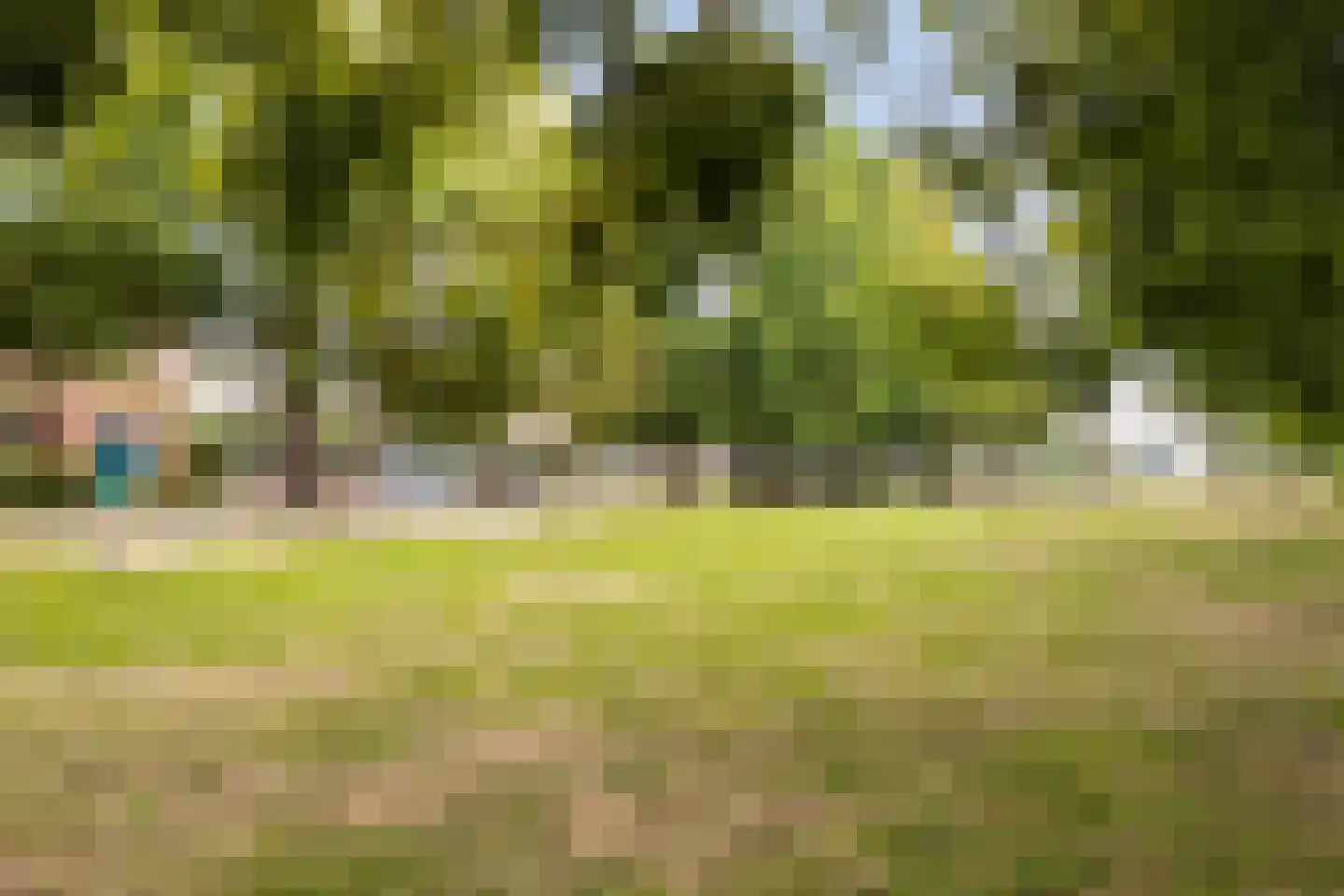 Vijverwater 7 Houten thumbnail 72