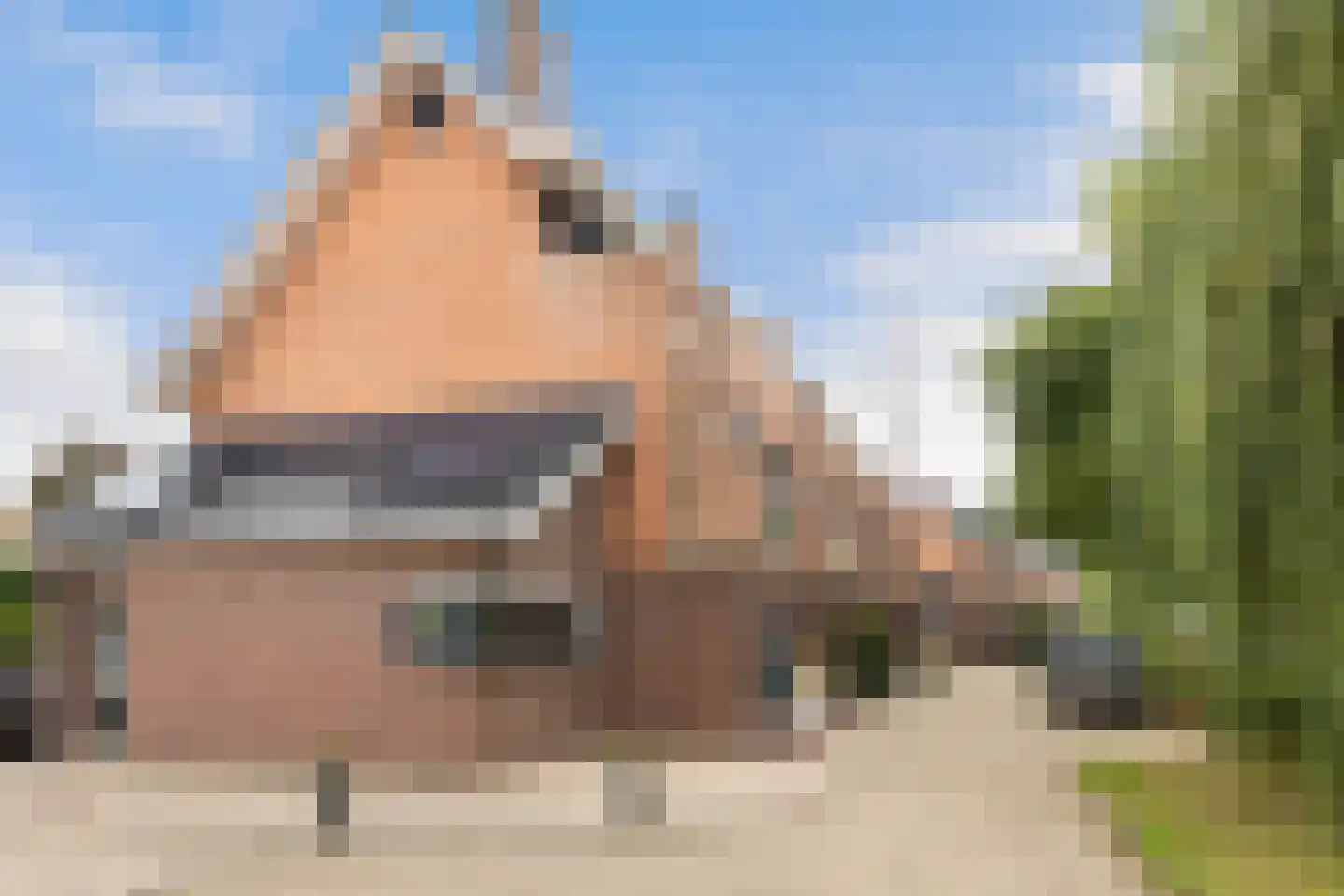 Vijverwater 7 Houten thumbnail 8
