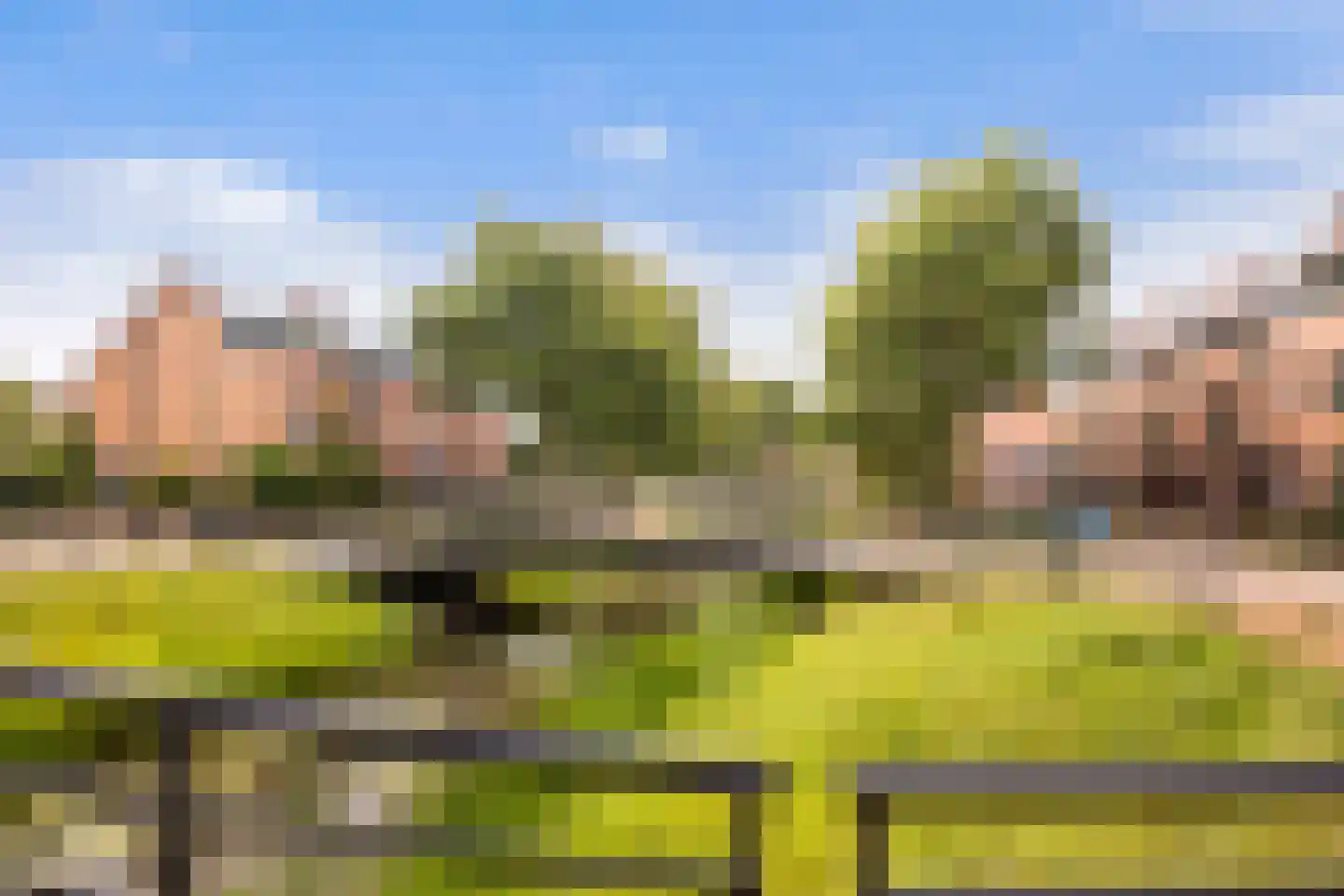Vijverwater 7 Houten thumbnail 9