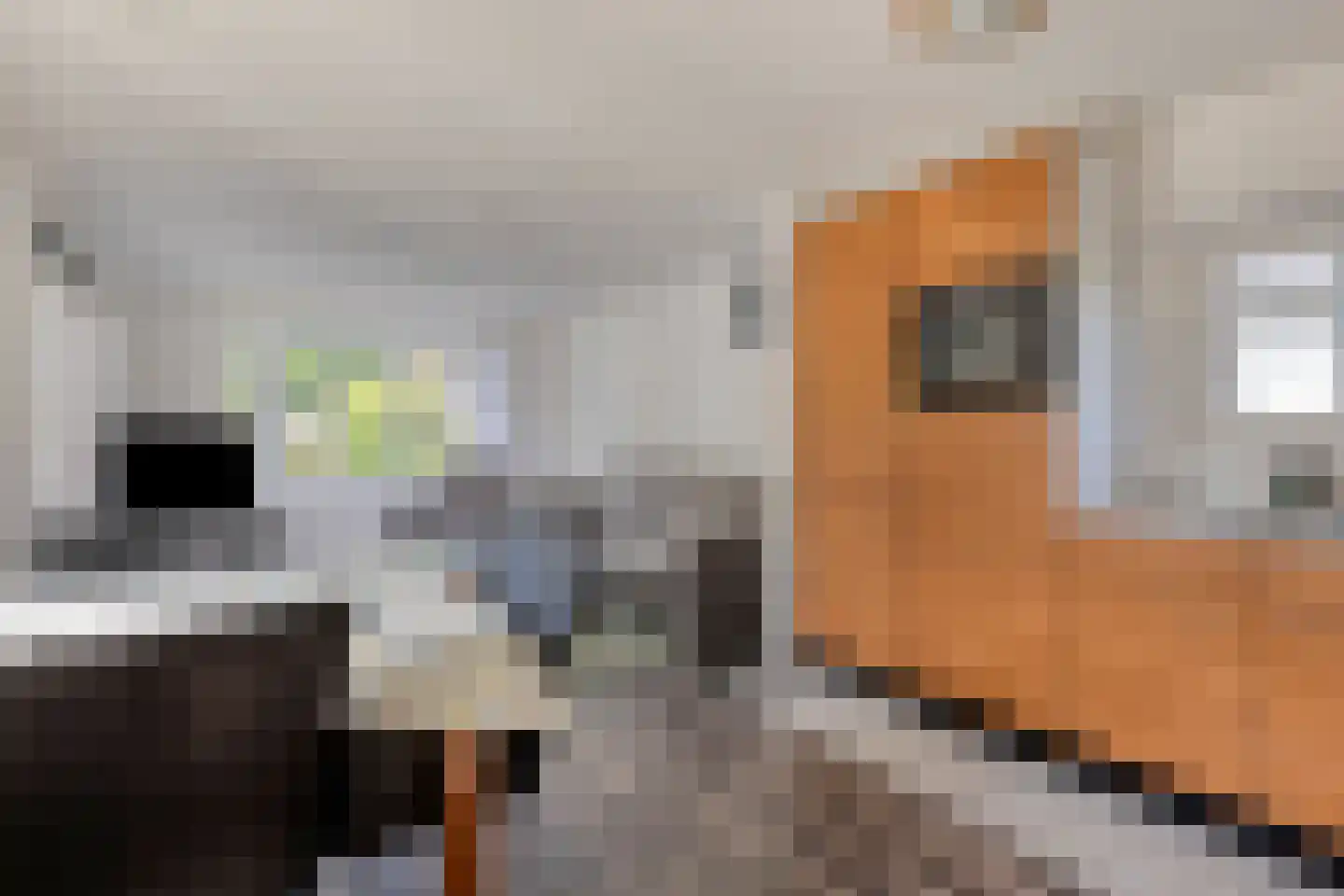 Vijverweg 1 068 Schijndel thumbnail 14
