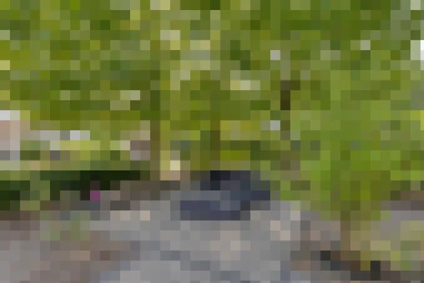 Vijverweg 1 068 Schijndel thumbnail 4