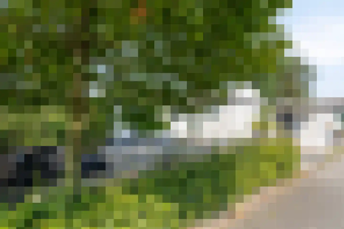 Vijverweg 1 068 Schijndel thumbnail 6