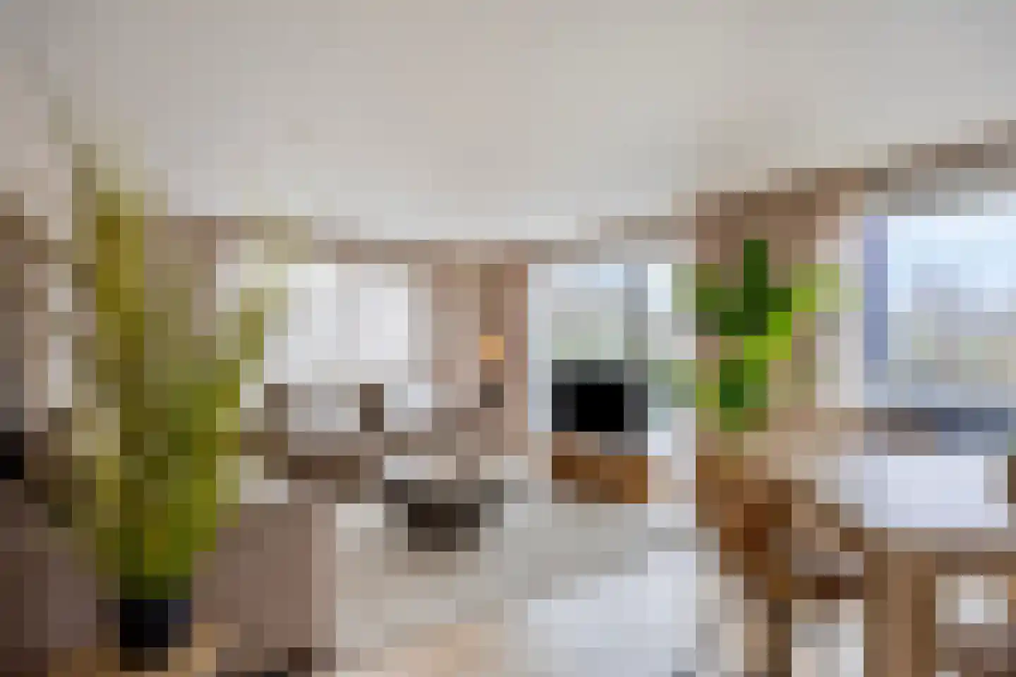 Vijverweg 1 177 Schijndel thumbnail 5