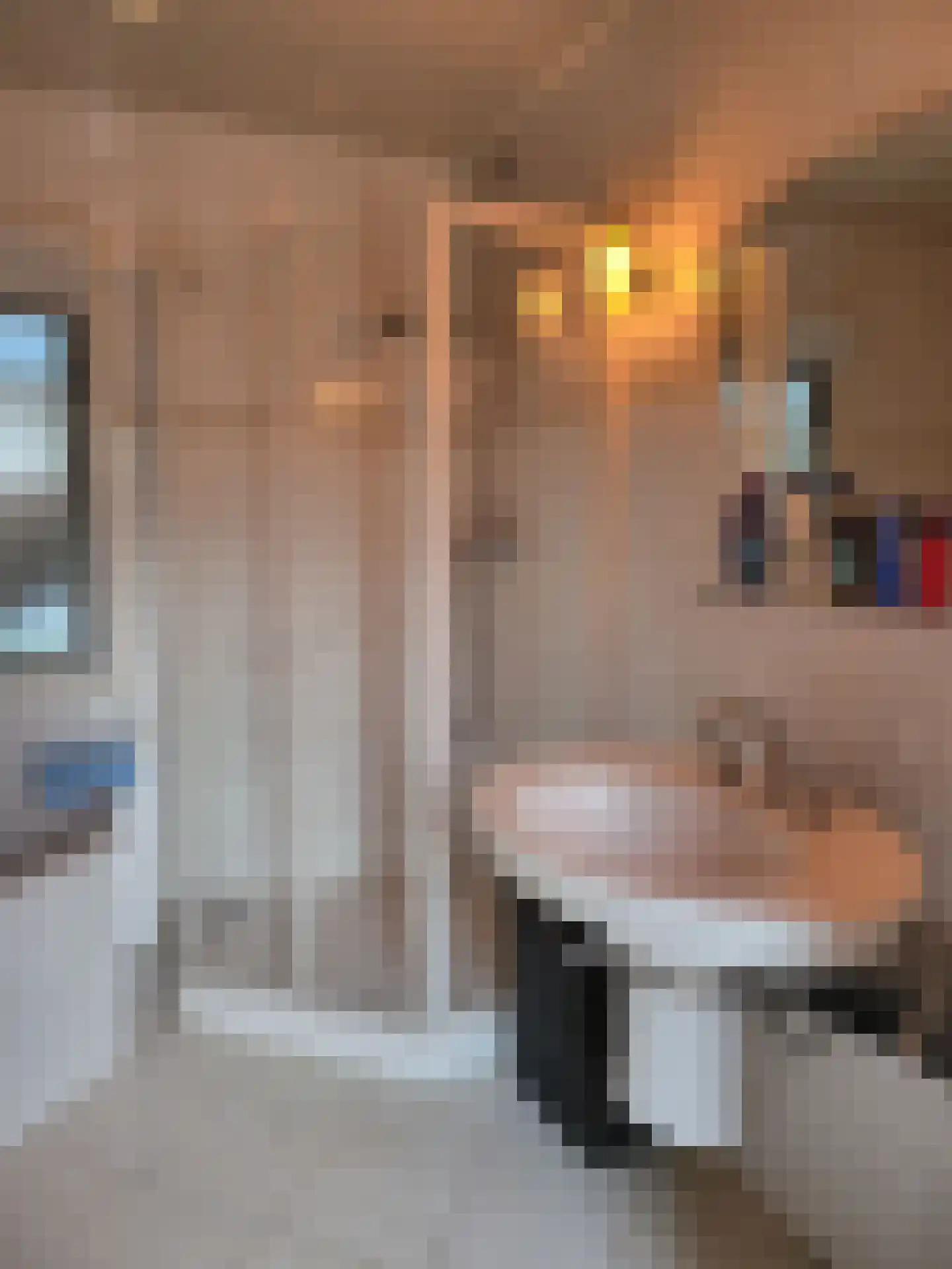 Vijverweg 1 220 Schijndel thumbnail 19