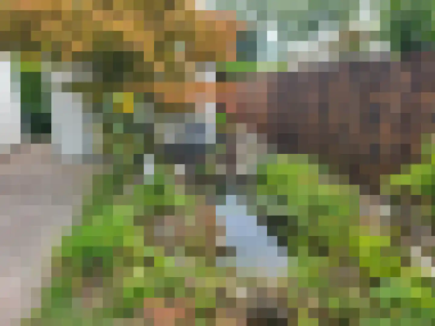 Vijverweg 1 220 Schijndel thumbnail 4