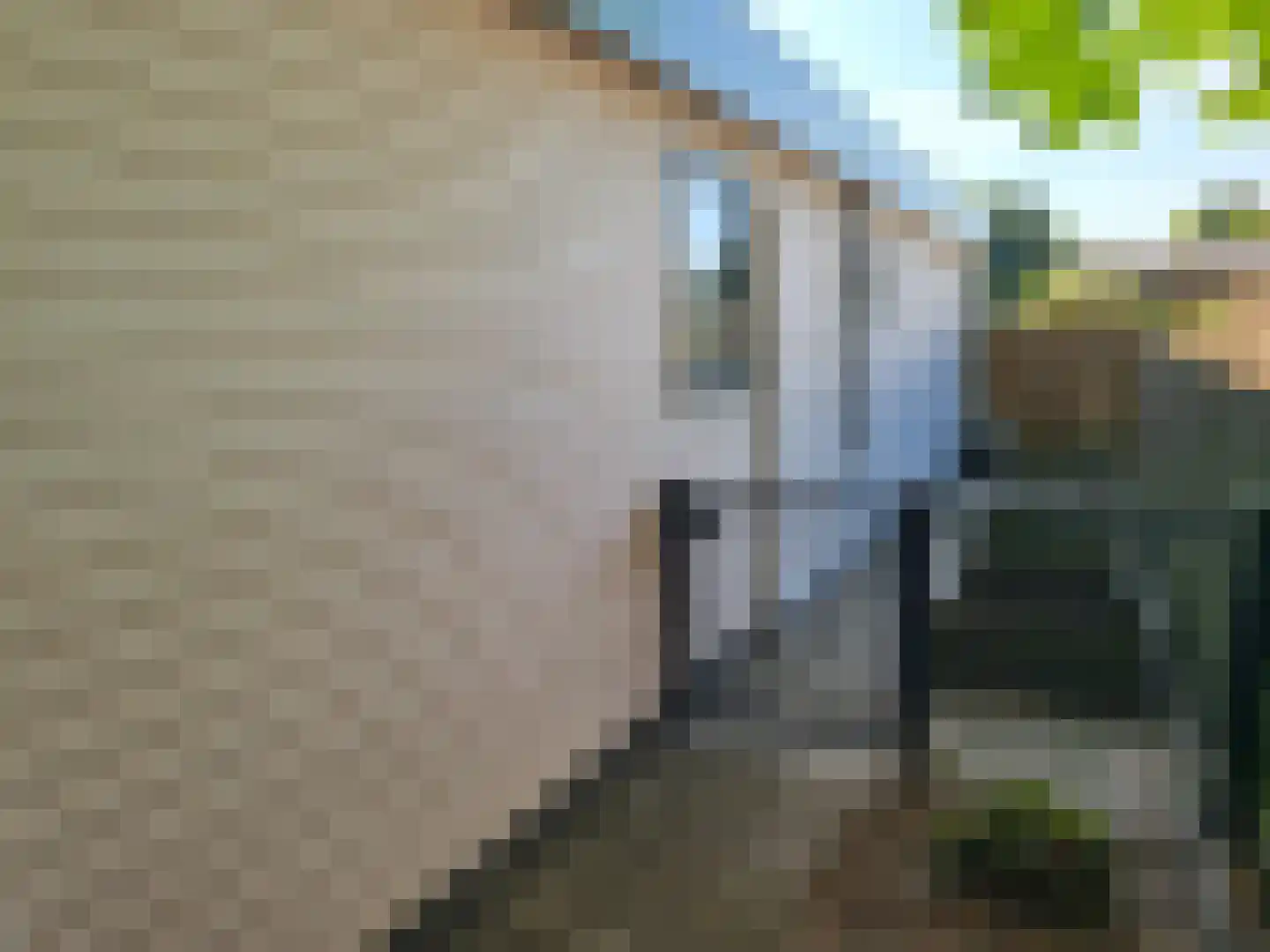 Vijverweg 1 256 Schijndel thumbnail 33