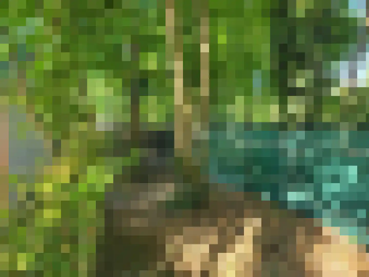 Vijverweg 1 256 Schijndel thumbnail 4