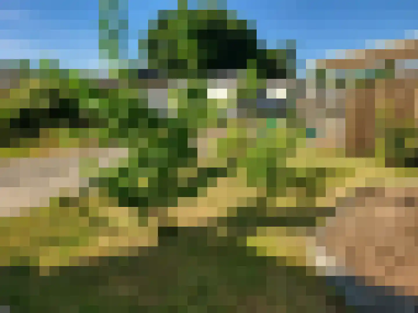 Vijverweg 1 256 Schijndel thumbnail 8