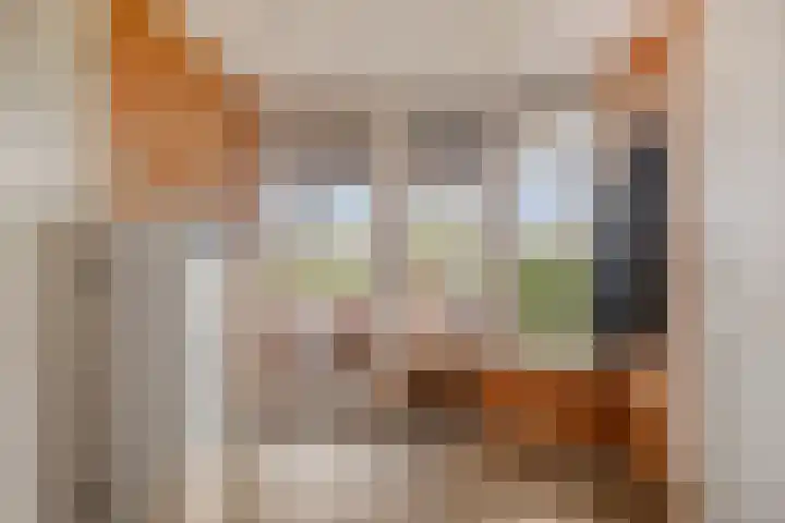 Vijverweg 1 Diepenheim thumbnail 14