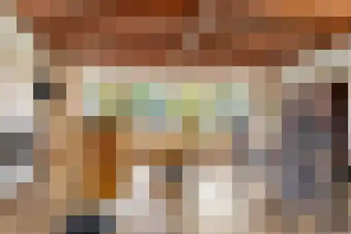 Vijverweg 1 Diepenheim thumbnail 16