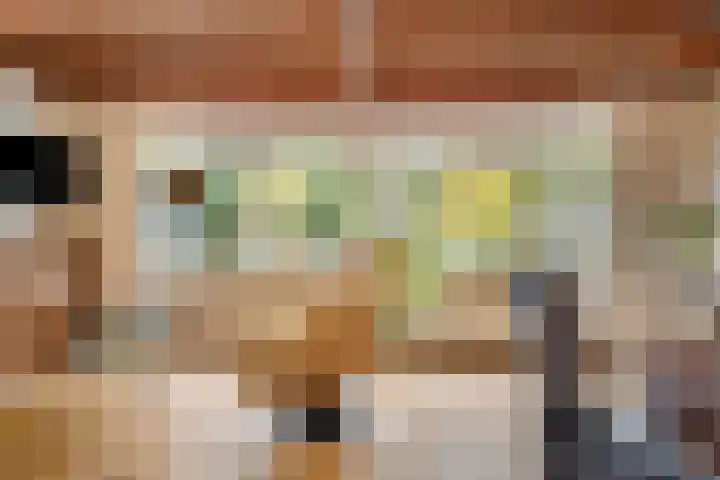 Vijverweg 1 Diepenheim thumbnail 17