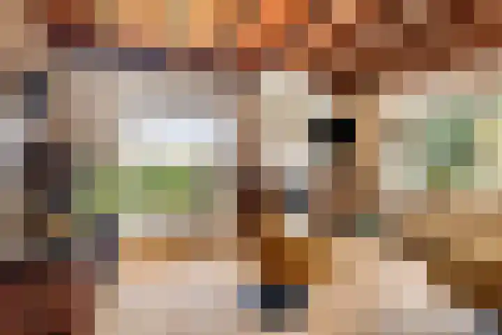 Vijverweg 1 Diepenheim thumbnail 18