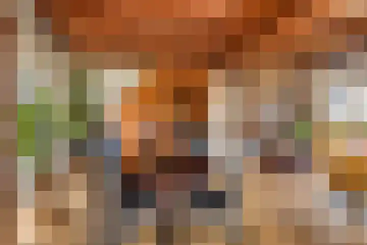 Vijverweg 1 Diepenheim thumbnail 19