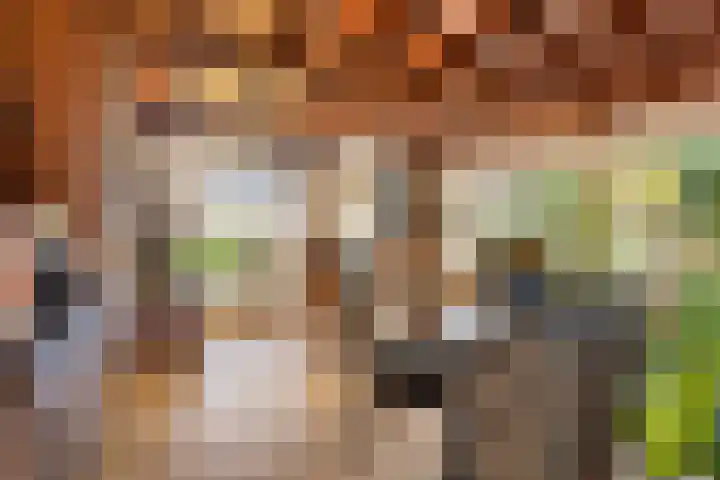 Vijverweg 1 Diepenheim thumbnail 21