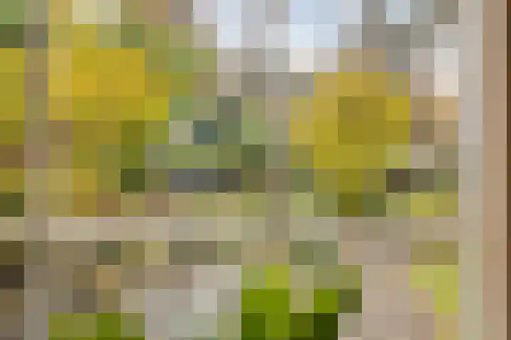 Vijverweg 1 Diepenheim thumbnail 22