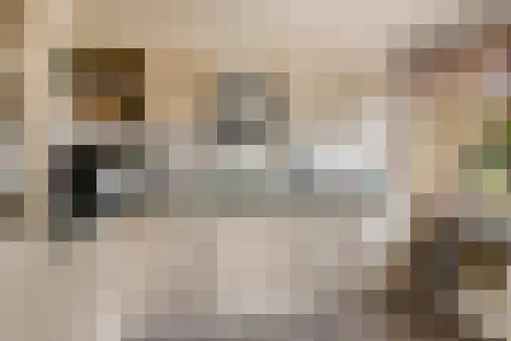 Vijverweg 1 Diepenheim thumbnail 23