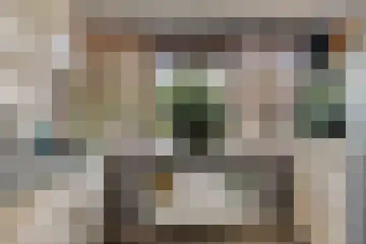 Vijverweg 1 Diepenheim thumbnail 24