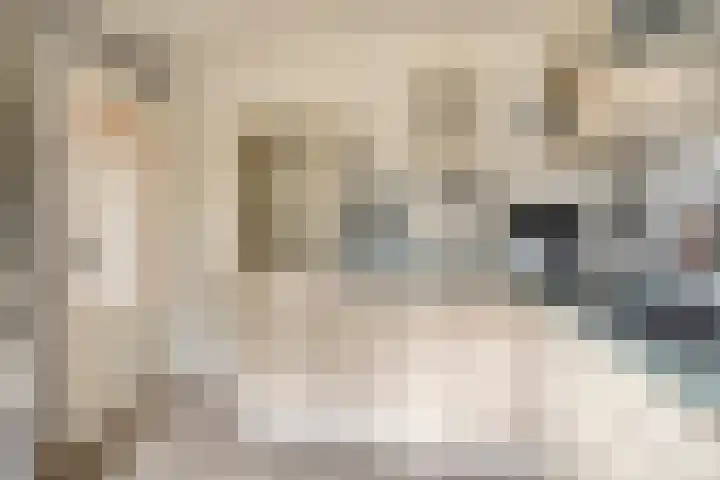 Vijverweg 1 Diepenheim thumbnail 25