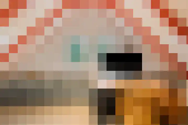 Vijverweg 1 Diepenheim thumbnail 33