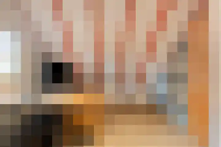 Vijverweg 1 Diepenheim thumbnail 34