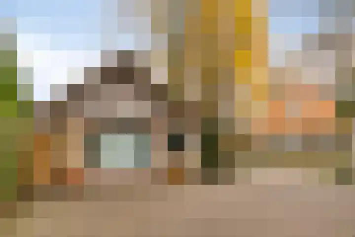 Vijverweg 1 Diepenheim thumbnail 35