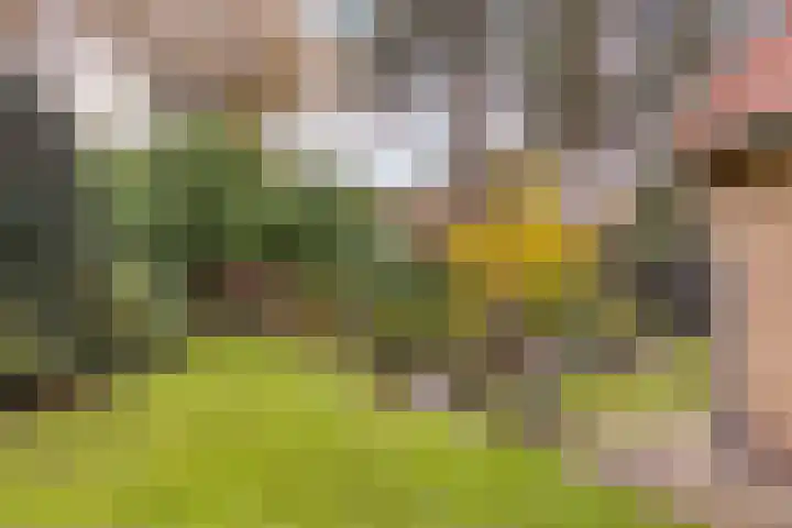 Vijverweg 1 Diepenheim thumbnail 37