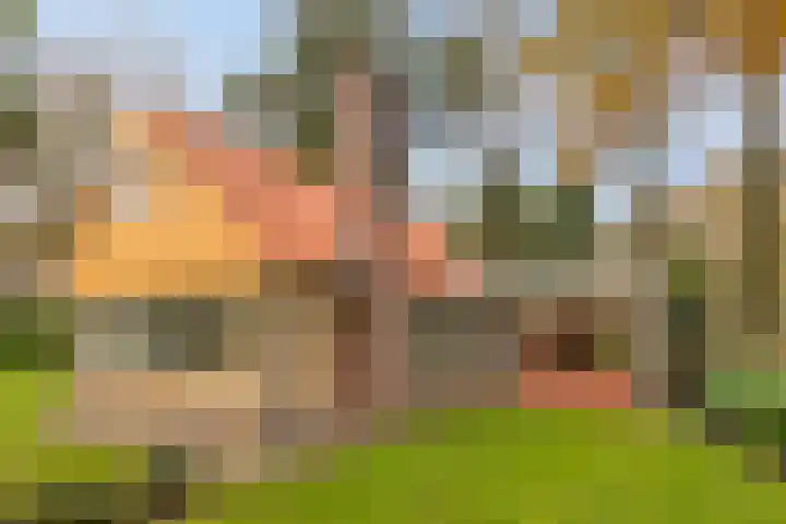Vijverweg 1 Diepenheim thumbnail 38