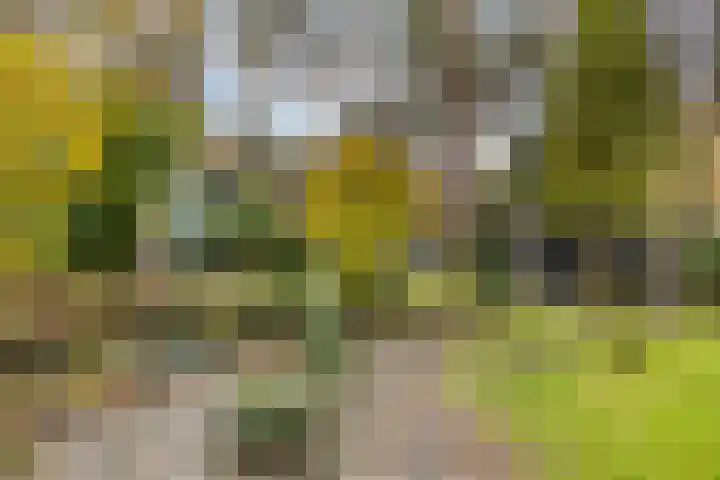 Vijverweg 1 Diepenheim thumbnail 39