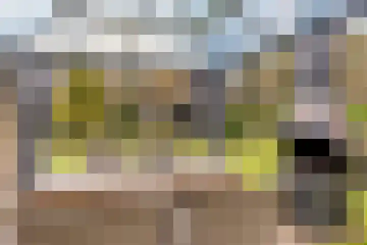 Vijverweg 1 Diepenheim thumbnail 40