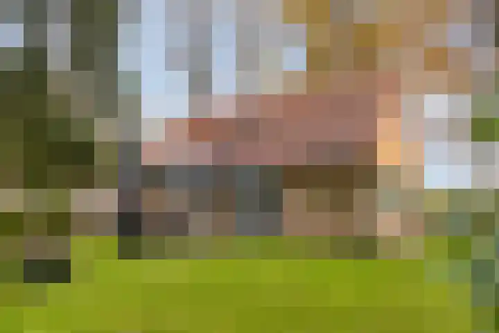 Vijverweg 1 Diepenheim thumbnail 41
