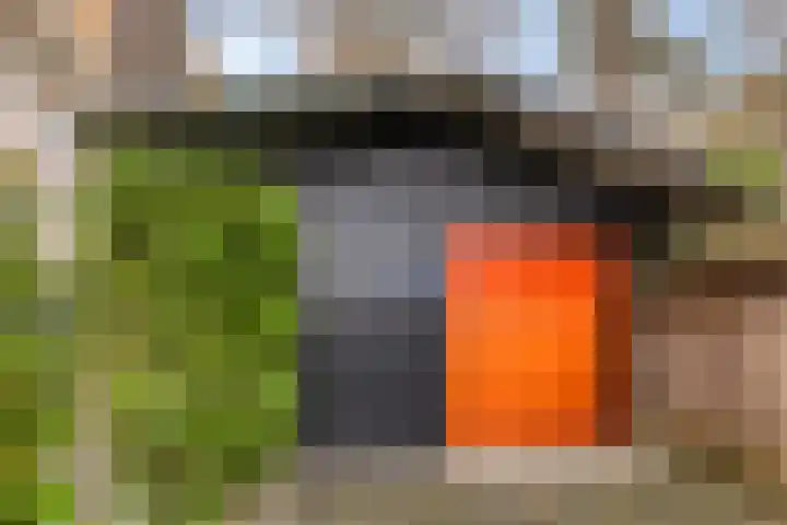 Vijverweg 1 Diepenheim thumbnail 42