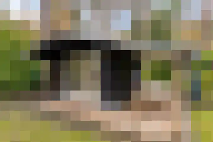 Vijverweg 1 Diepenheim thumbnail 43
