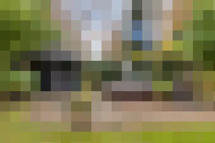 Vijverweg 1 Diepenheim thumbnail 45