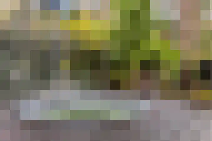 Vijverweg 1 Diepenheim thumbnail 46