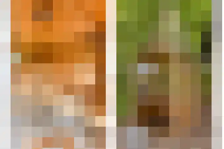 Vijverweg 1 Diepenheim thumbnail 48