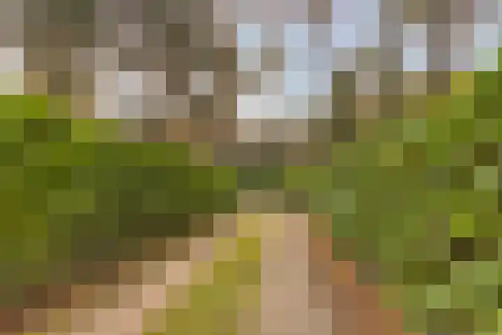 Vijverweg 1 Diepenheim thumbnail 49