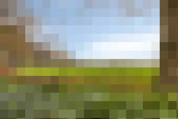 Vijverweg 1 Diepenheim thumbnail 50