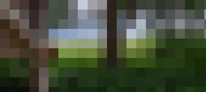 Vijverweg 1 Diepenheim thumbnail 51