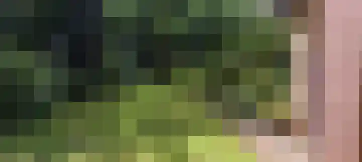 Vijverweg 1 Diepenheim thumbnail 52