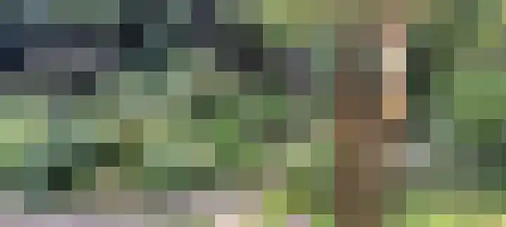 Vijverweg 1 Diepenheim thumbnail 53