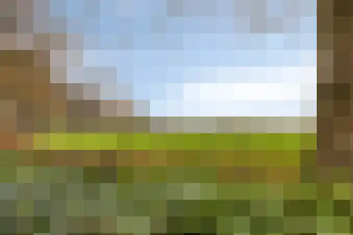 Vijverweg 1 Diepenheim thumbnail 6