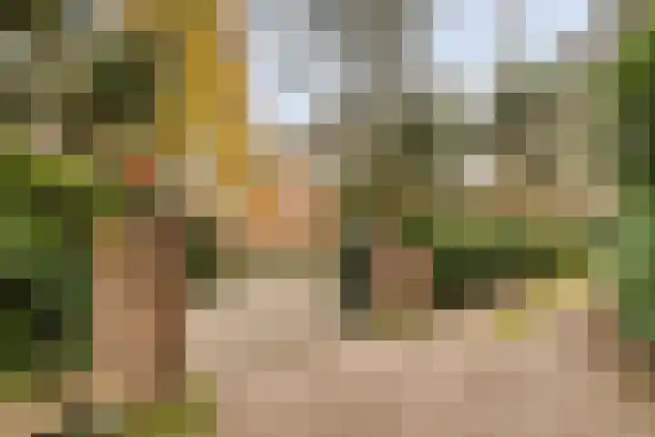 Vijverweg 1 Diepenheim thumbnail 7