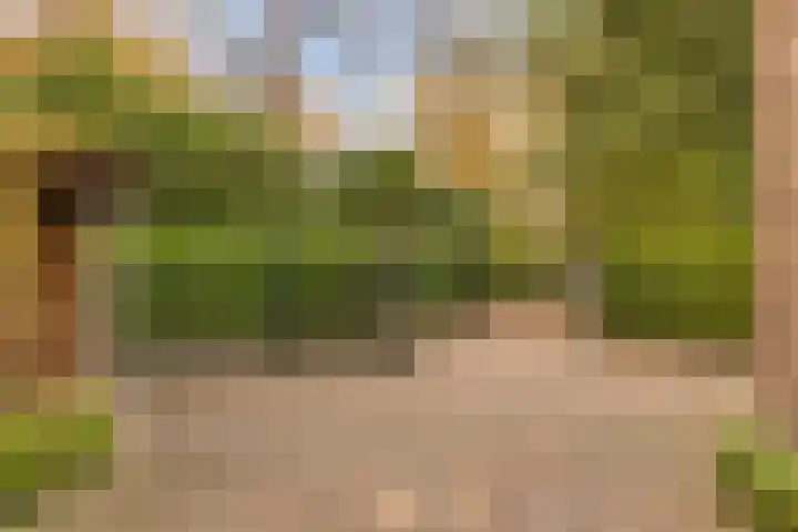 Vijverweg 1 Diepenheim thumbnail 9