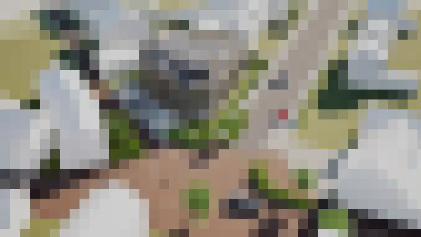 Vijverweg 1 Herkenbosch thumbnail 7
