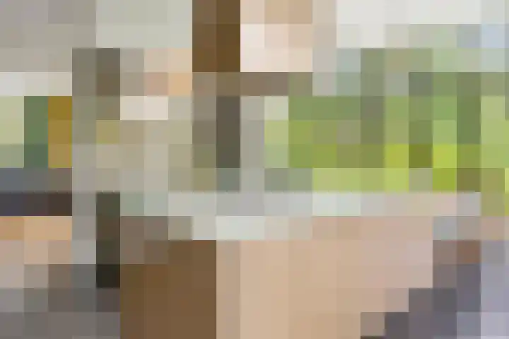 Vijverweg 10 Bloemendaal thumbnail 17