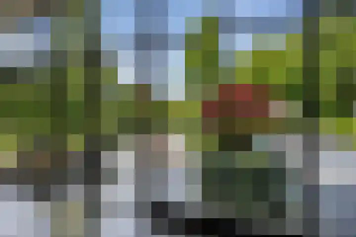 Vijverweg 10 Bloemendaal thumbnail 21
