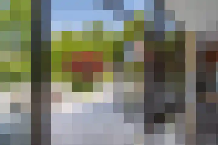 Vijverweg 10 Bloemendaal thumbnail 22